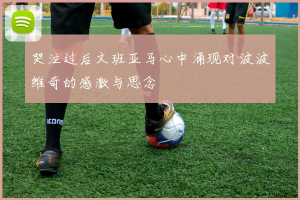 哭泣过后文班亚马心中涌现对波波维奇的感激与思念